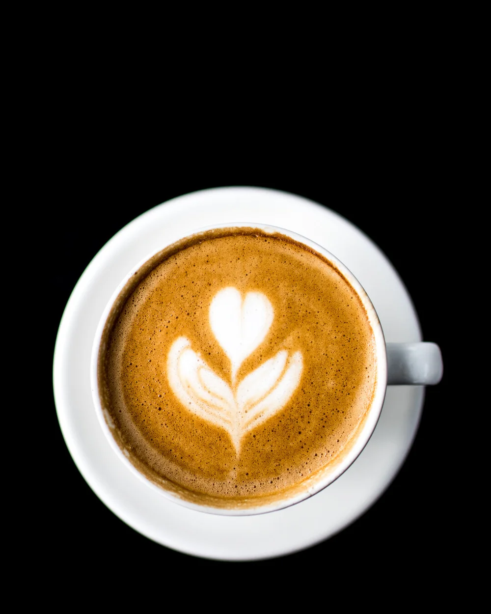 Our Passion for Coffee: The Obsessive Pursuit of the Perfect Roast 4l8a6705