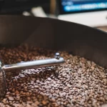 Java Lords Coffee Subscriptions: Freshness, Curation, and Coffee That Grows With You