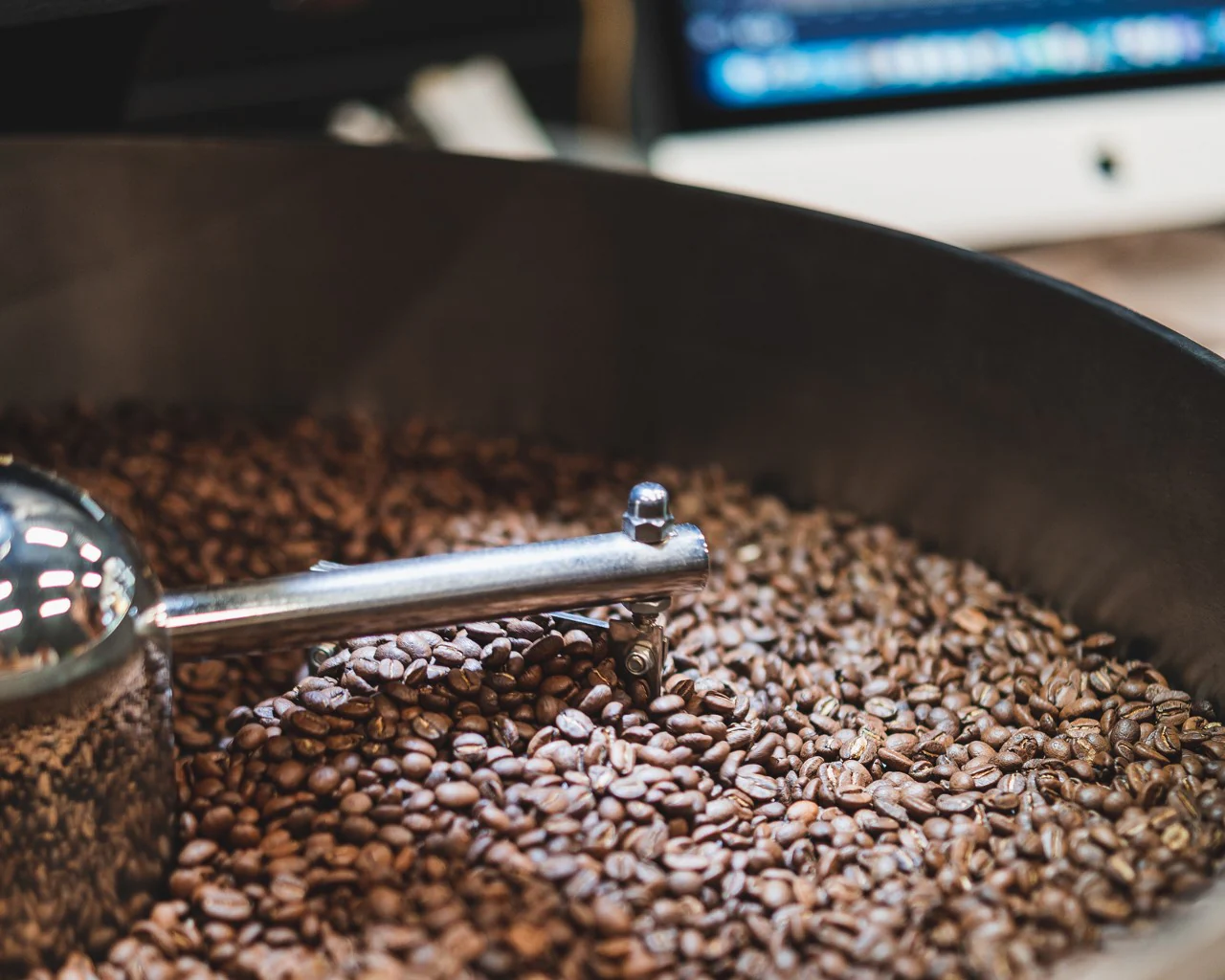 beans roasting machine highlighting quality medium roast colour